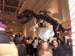 045_2009-0119-1122-05.jpg